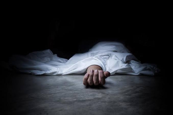 Two elderly women trampled to death by elephants in Odisha