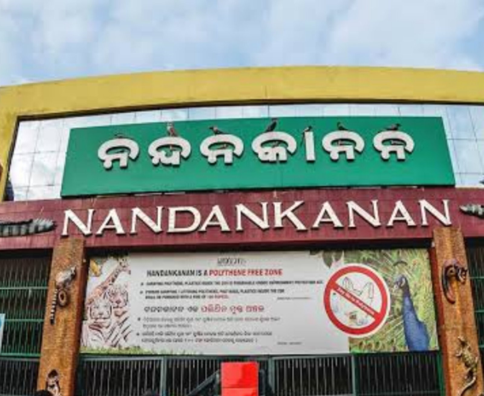 Nandankanan Zoo mourns loss of tigress Sara
