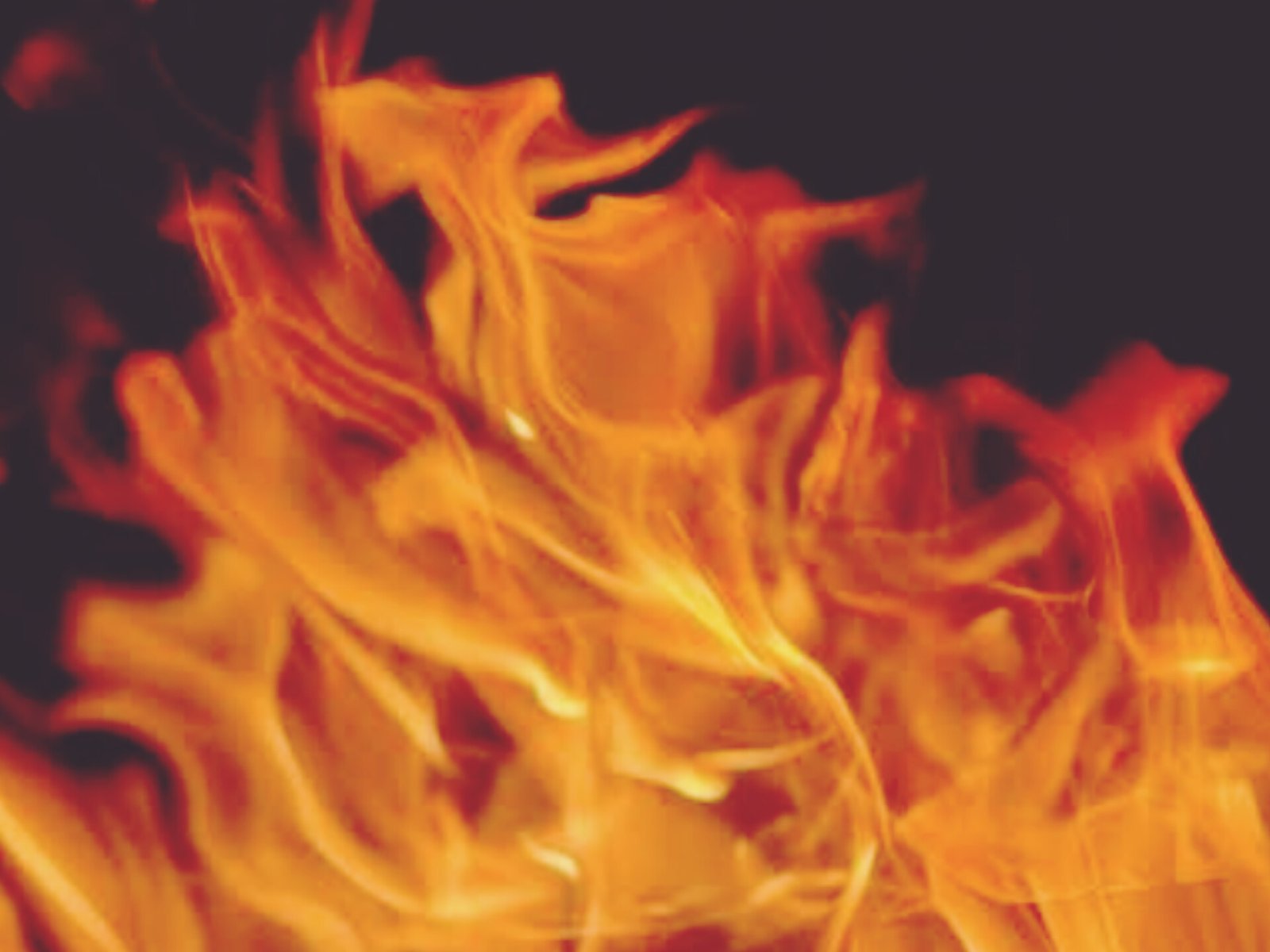 Mo Bus catches fire in Cuttack, passengers escape unharmed