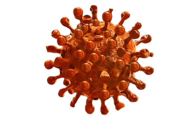Odisha Reports 462 New Covid -19 Positives