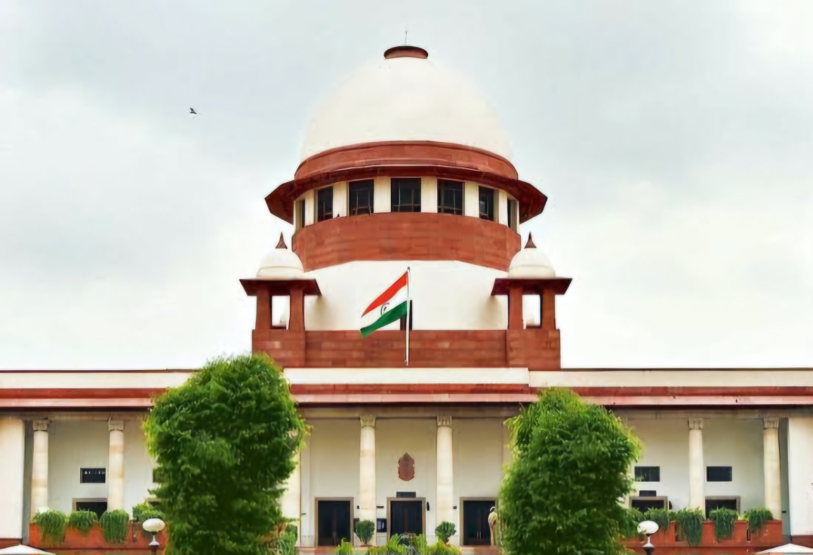 State government Supports Supreme Court's Landmark Ruling on Child Sexual Exploitation