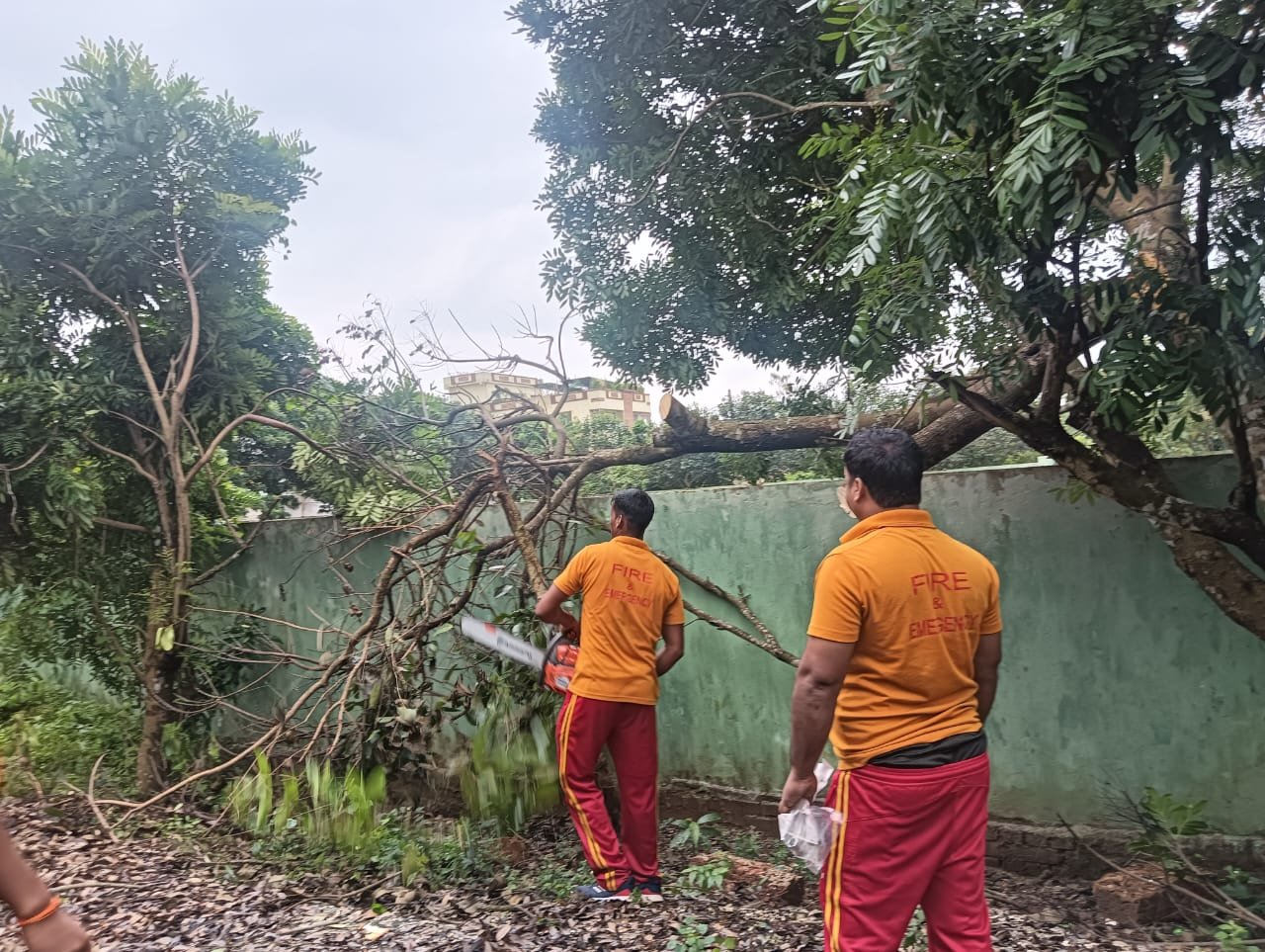 Restoration efforts begin as cyclone Dana weakens over north coastal Odisha