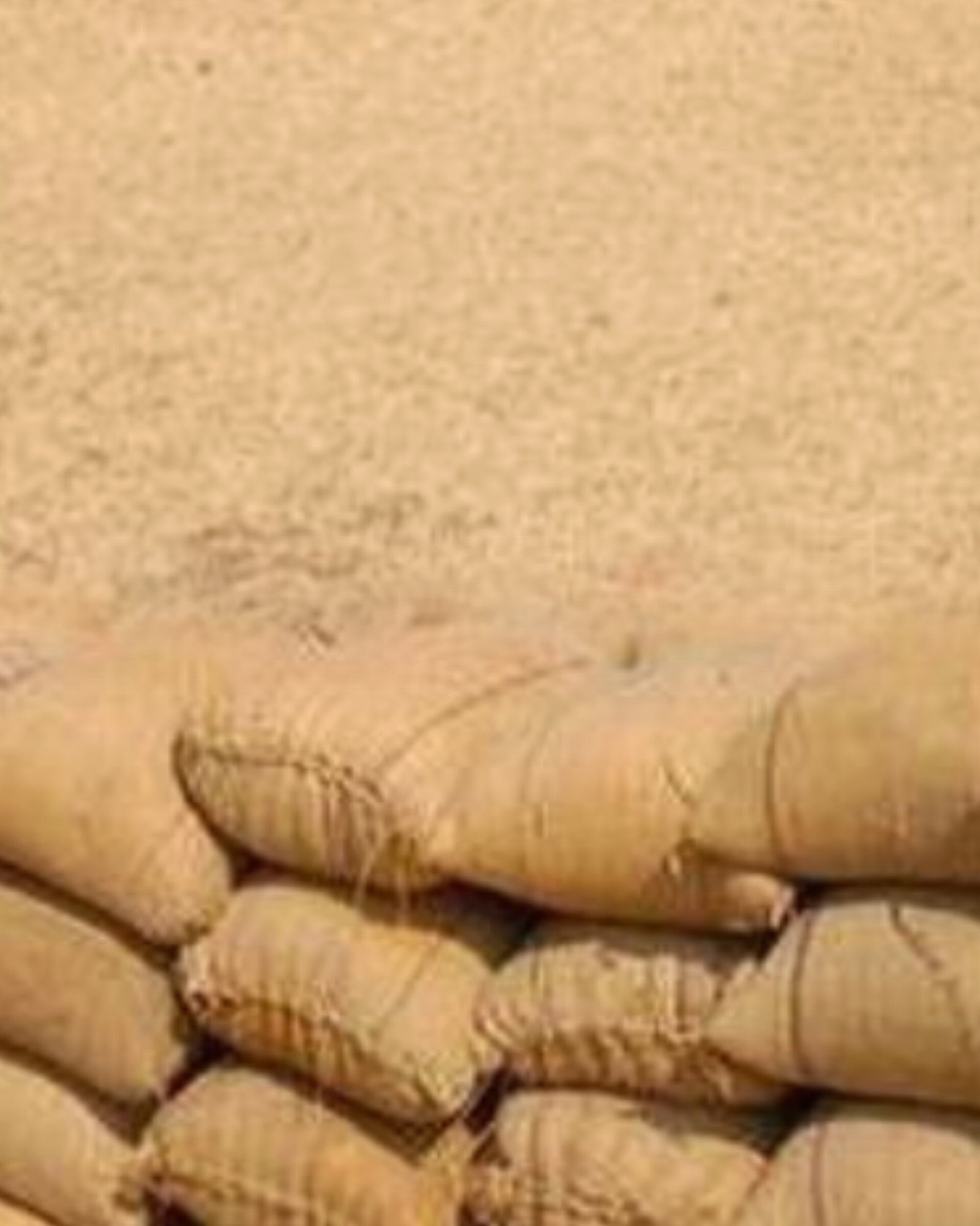 Paddy Procurement From November 21st