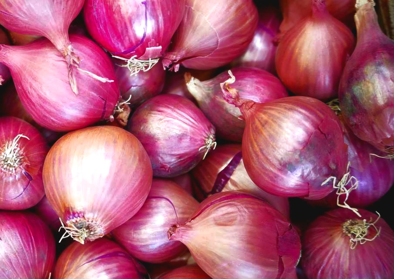 Odisha consumers hit hard as onion prices soar