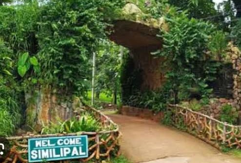 Simlipal National Park in Odisha reopens to visitors on October 14
