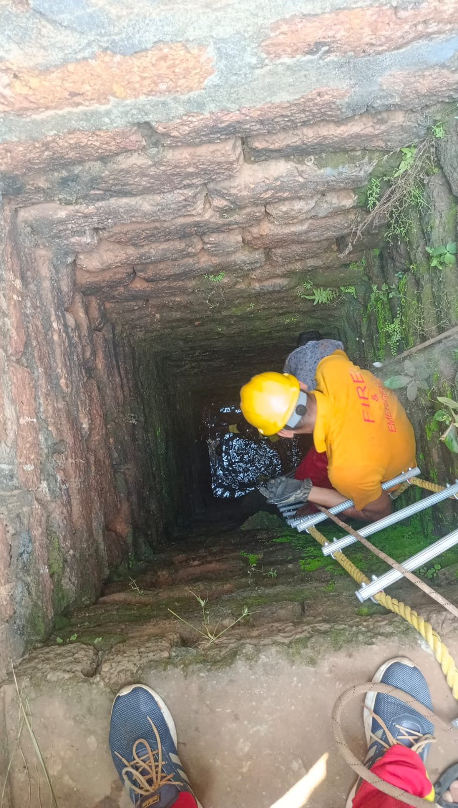 Cat rescue tragedy unfolds near Patia railway station, claiming one life