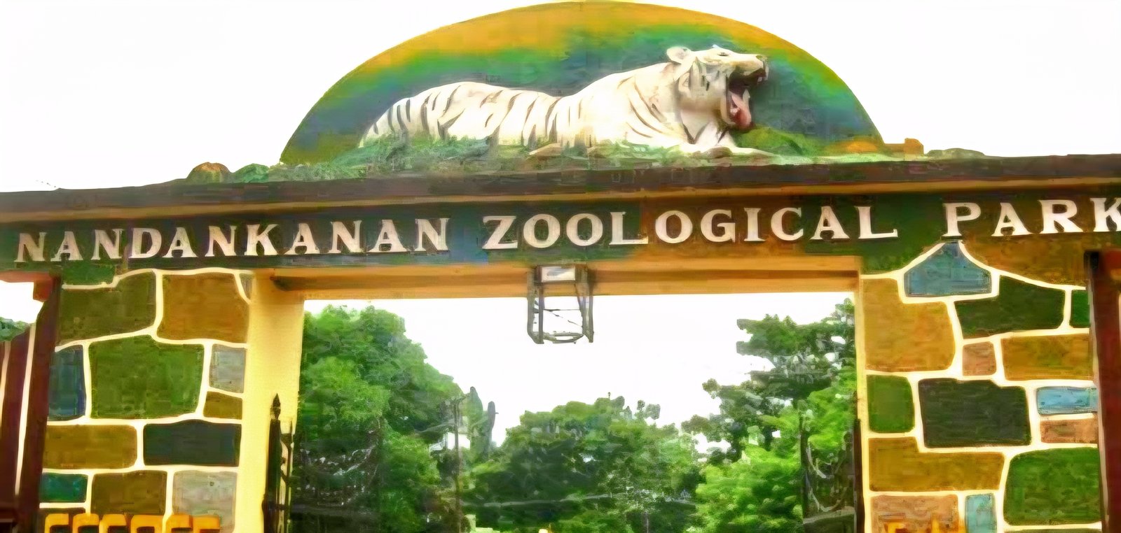 Nandankanan Zoo to welcome 19 new animals from gujarat as part of exchange programme