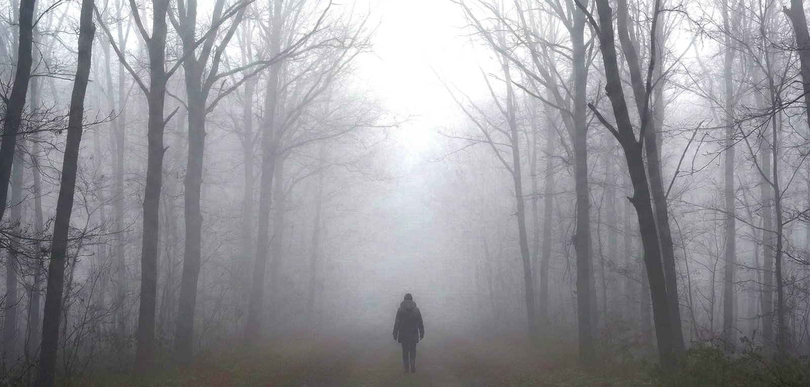 IMD predicts dense fog in seven Odisha districts for two consecutive days