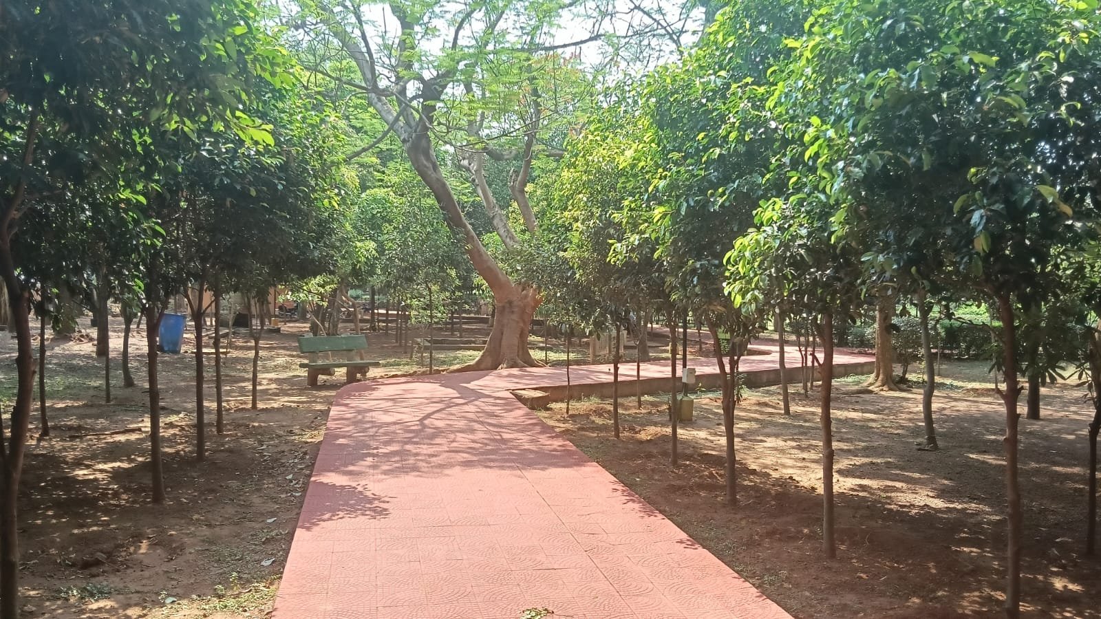 BDA parks to remain open all day on weekends from December 13