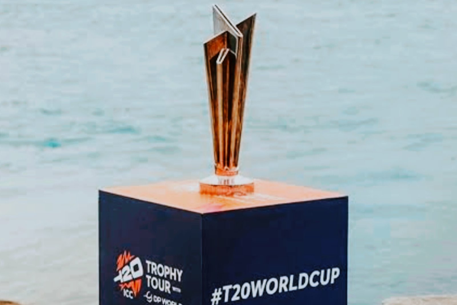 Selectors opt for new combinations as Gill misses T20 World Cup cut