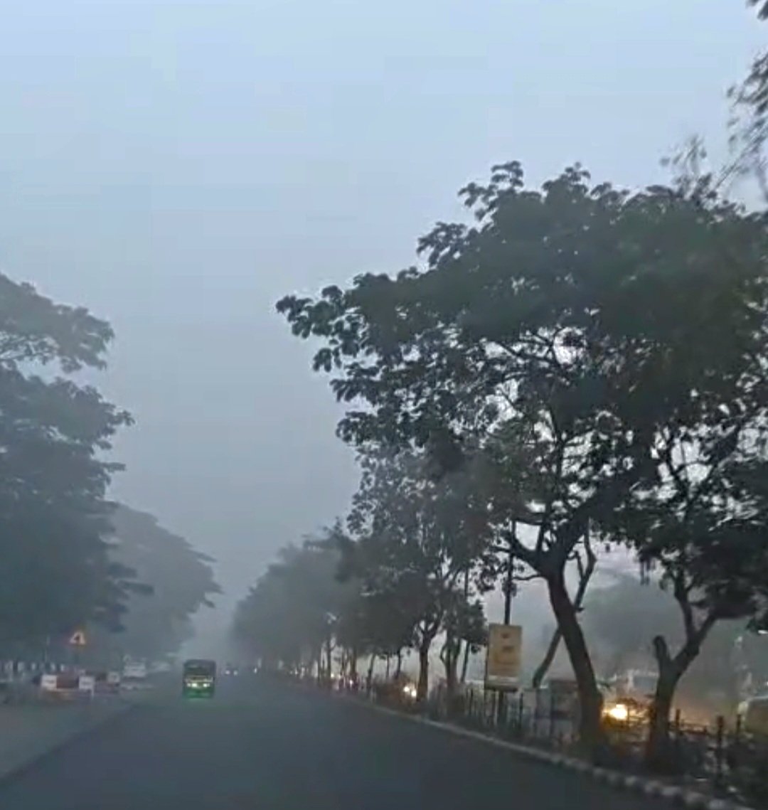 Dense fog, plunging temperatures grip Odisha ahead of New Year