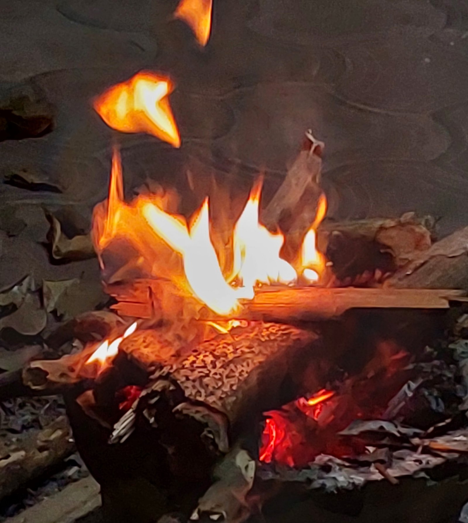 Severe cold wave grips Odisha, Jharsuguda records lowest temperature at 6.3°C