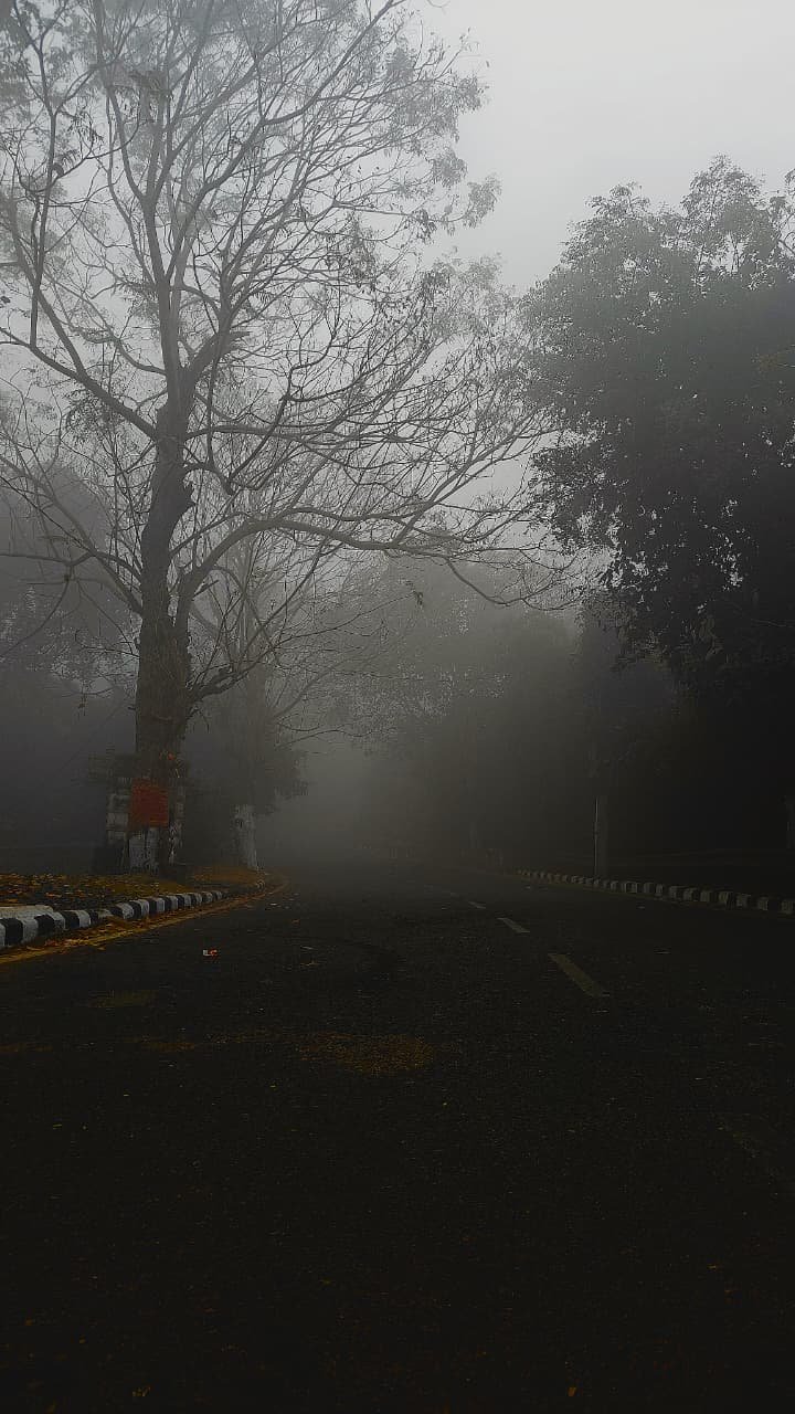 Dense fog brings down temperature in Bhubaneswar
