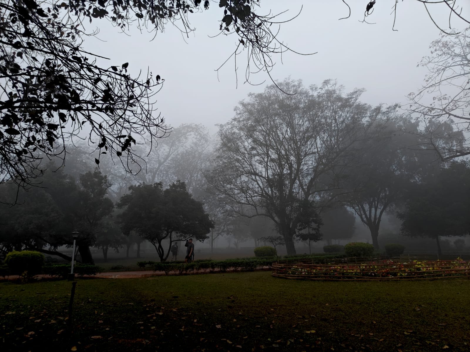 Cold wave tightens grip across Odisha, 25 places record below 10°C temperatures