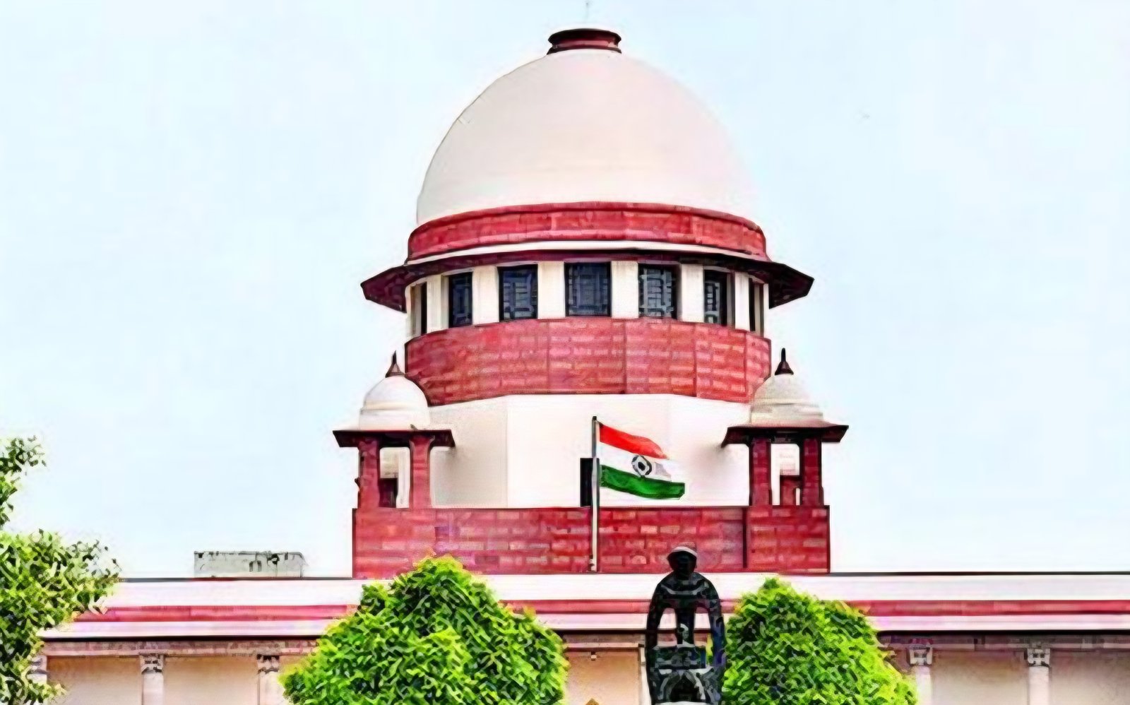 Supreme Court Refuses to Relax Order on Removal of Stray Dogs From Public Places