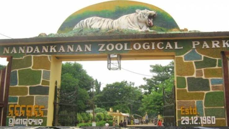 Nandankanan Zoo goes digital: WhatsApp ticket booking for an effortless visit