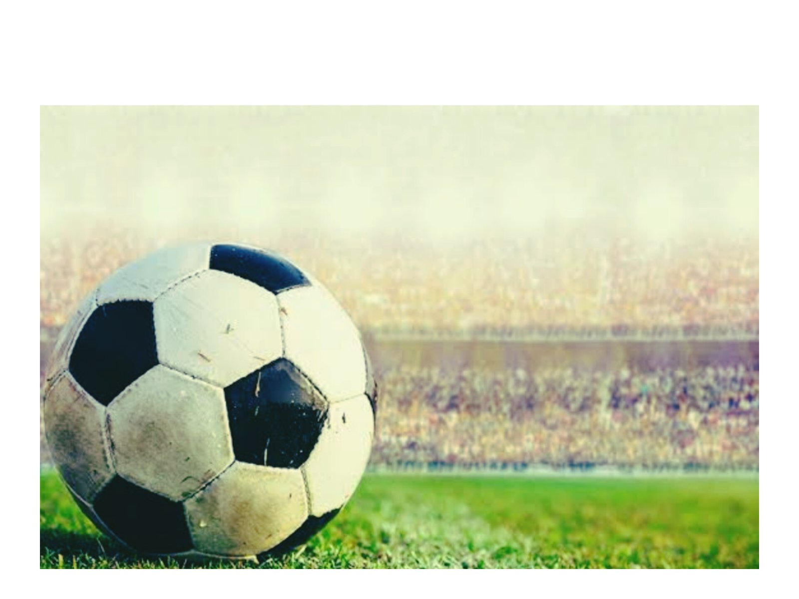 AIFF-FIFA Academy to be launched in Bhubaneswar on Nov 21