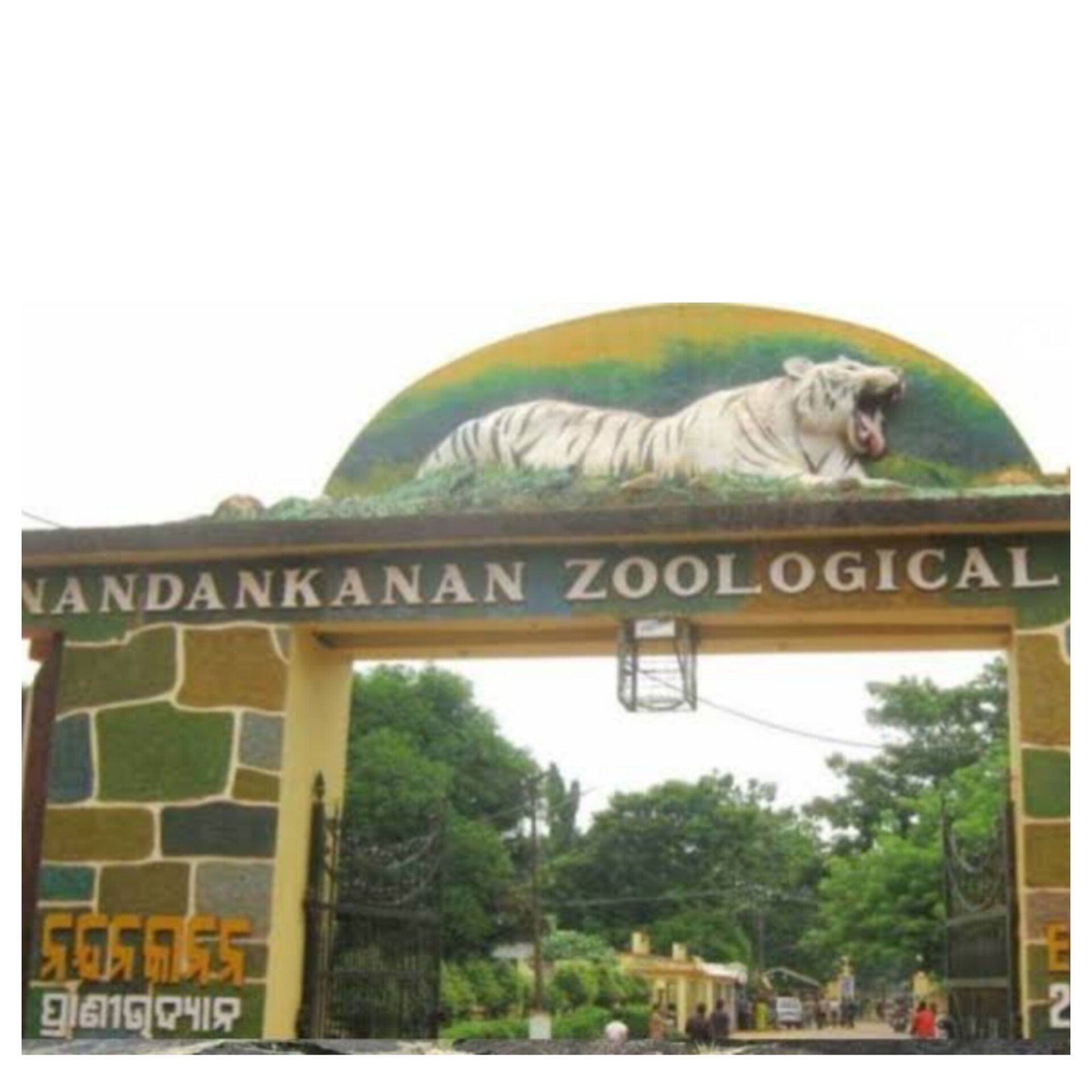 Nandankanan Zoo to welcome visitors on Christmas and New Year Mondays