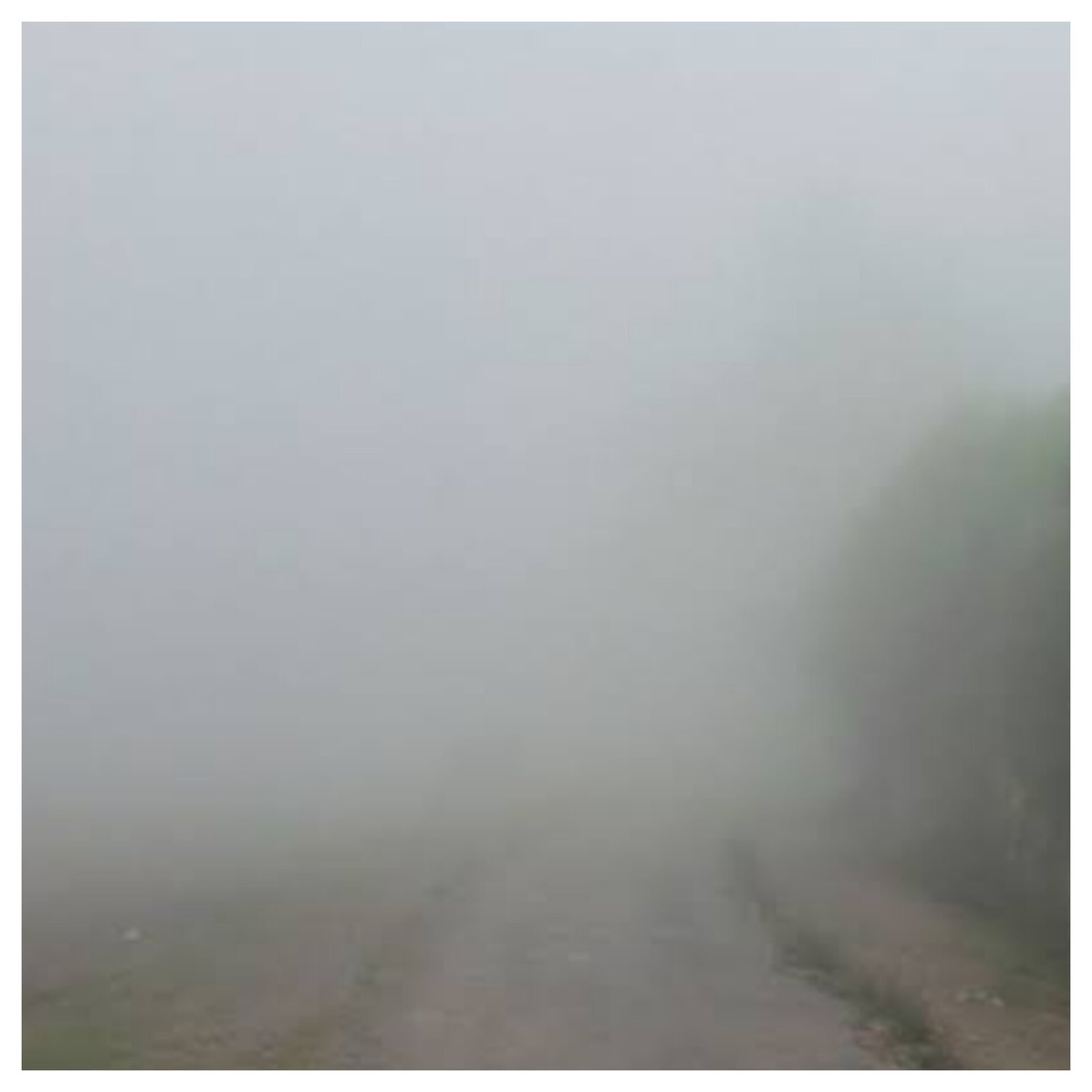 Weather dynamics in Odisha: Rainfall and fog patterns across the region