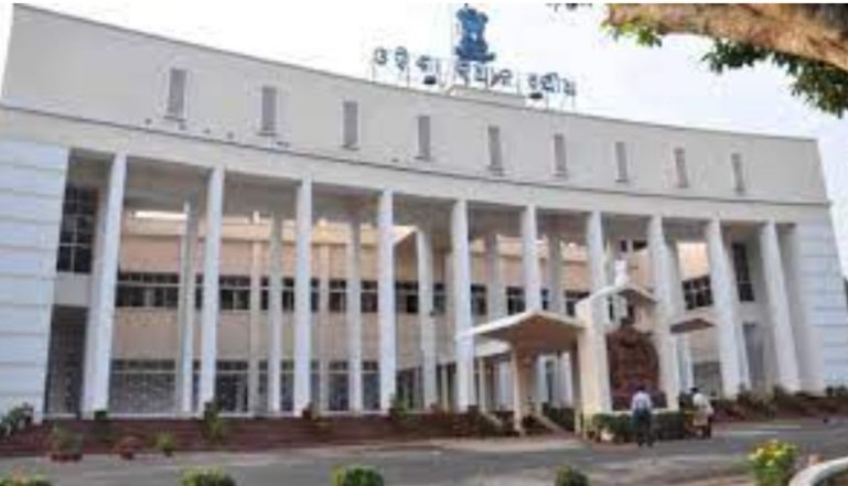 ସରକାର ଏଥର ଆଣିପାରନ୍ତି କାମଚଳା ବଜେଟ୍