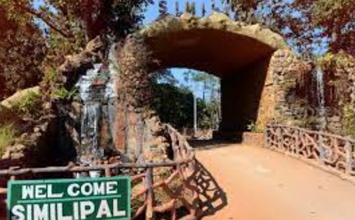 ଆଜି ପର୍ଯ୍ୟଟକଙ୍କ ପାଇଁ ଶିମିଳିପାଳ ବନ୍ଦ