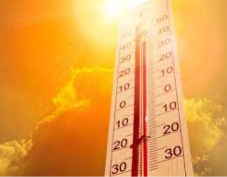 ଆଭ୍ୟନ୍ତରୀଣ ଓଡ଼ିଶାରେ ବଢିଚାଲିବ ତାତି