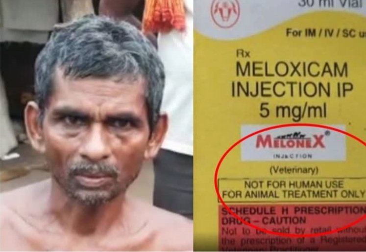 ମଣିଷକୁ ଦେଇଦେଲେ ପଶୁ ଇଂଜେକ୍ସନ