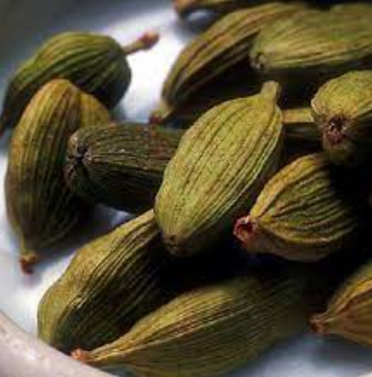 ରକ୍ତ ସଂଚାଳନ ଠିକ୍‌ କରେ ଅଳେଇଚ