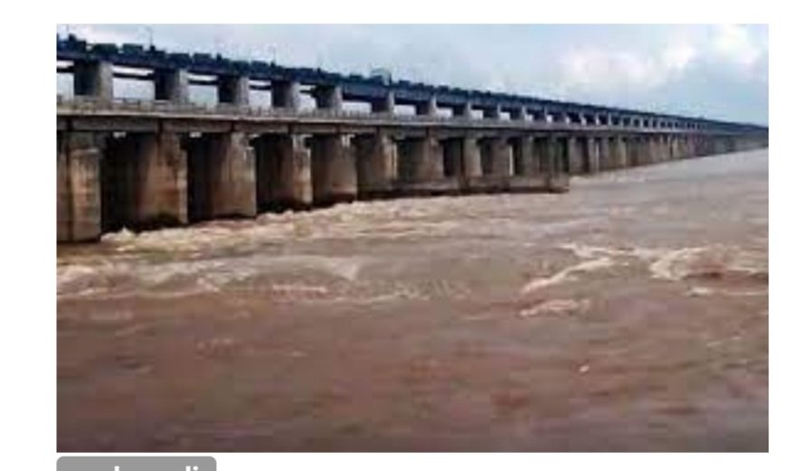 ମହାନଦୀ ଜଳ ବିବାଦ ମାମଲାର ଶୁଣାଣିକୁ ସ୍ଥଗିତ ରଖିଲେ ଟ୍ରିବ୍ୟୁନାଲ