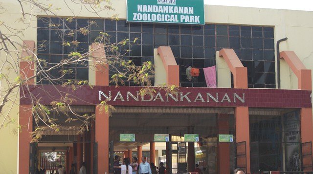 ଜଳହସ୍ତୀ ଖୁଆଡ଼ରେ ୩ ଫୁଟିଆ କୁମ୍ଭୀର, କେମିତି ଆସିଲା ?