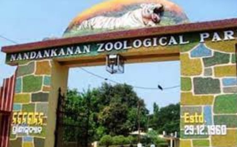 ନନ୍ଦନକାନନରେ ଜୀବନ ହାରିଲା ଭାଲୁ 