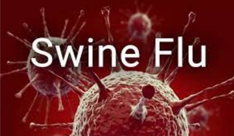 ରାଜ୍ୟରେ ୨ ସ୍ୱାଇନ ଫ୍ଲୁ ରୋଗୀ ଚିହ୍ନଟ 