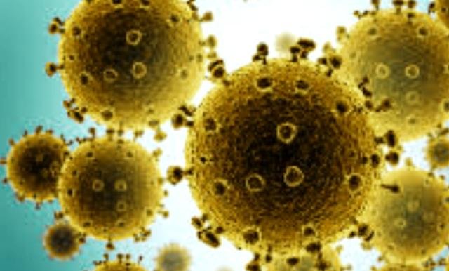 ରାଜ୍ୟରେ ଆଜି ଦୁଇ ଶହ ଅତିକ୍ରମ କଲା ଦୈନିକ କୋଭିଡ ସଂକ୍ରମଣ