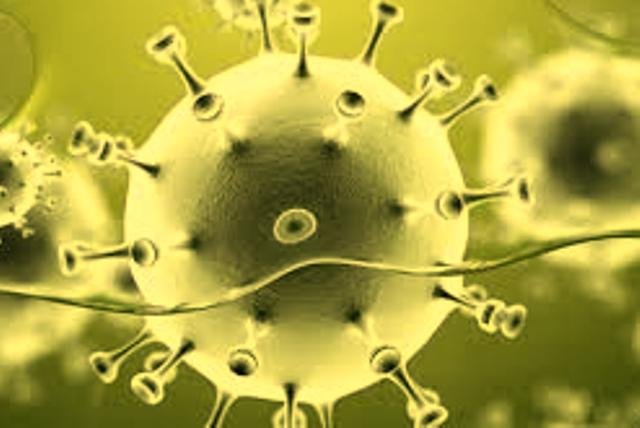 ବଢୁଛି ସଂକ୍ରମଣ , ରାଜ୍ୟରେ ୨୩୧ କରୋନା ପଜିଟିଭ ଚିହ୍ନଟ