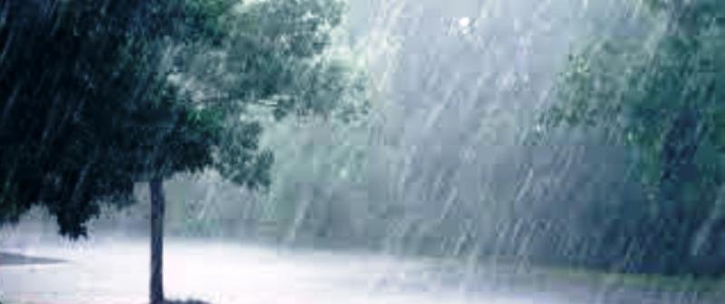 ଆଜିଠାରୁ ରାଜ୍ୟରେ ବଢିବ ବର୍ଷାର ପରିମାଣ