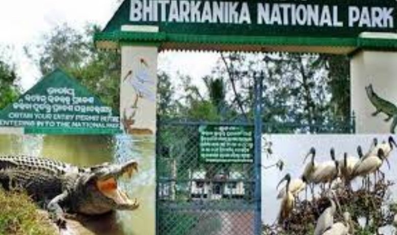 ଆସନ୍ତାକାଲି ଖୋଲିବ ଭିତରକନିକା ଜାତୀୟ ଉଦ୍ୟାନ