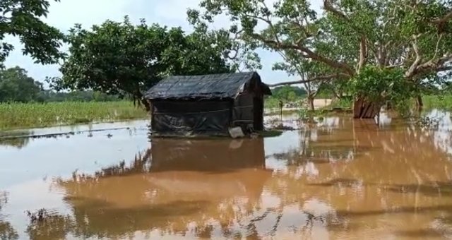ବୈତରଣୀ ଜଳସ୍ତର ଖସୁଛି, କିନ୍ତୁ ହାଟଡିହିର ୫ ପଞ୍ଚାୟତ ପାଣି ଘେରରେ