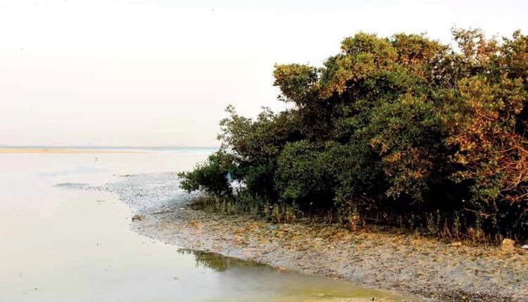 ଭୋଗରାଇ ଓ ବାଲିଆପାଳ ଅଞ୍ଚଳରେ ବନ୍ୟାପାଣି