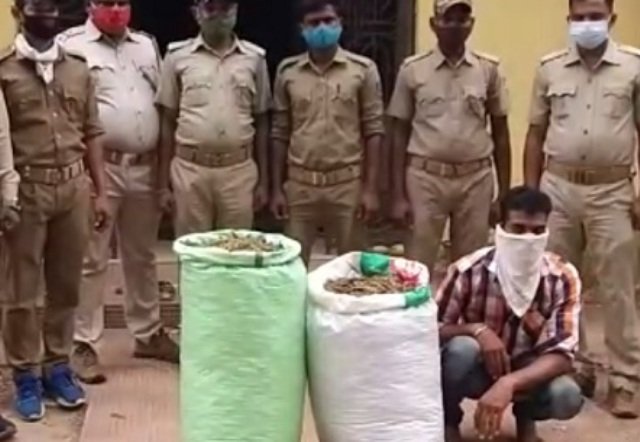 ନାଉ କିଆରୀରୁ ଅଢେଇ ଲକ୍ଷର ଗଞ୍ଜେଇ ଜବତ