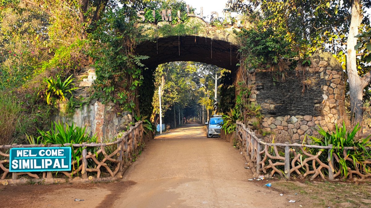 ୧ରୁ ଖୋଲିବ ଶିମିଳିପାଳ ଜାତୀୟ ଉଦ୍ୟାନ