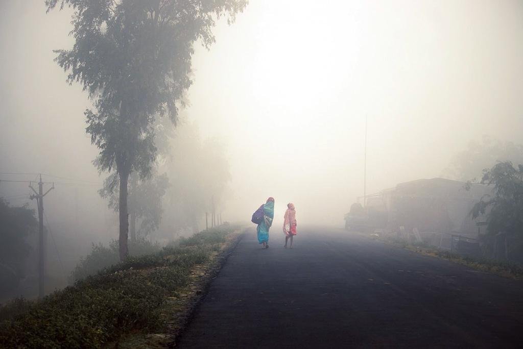 ସାରା ରାଜ୍ୟରେ ଏବେ ଶୀତର ଲହରୀ
