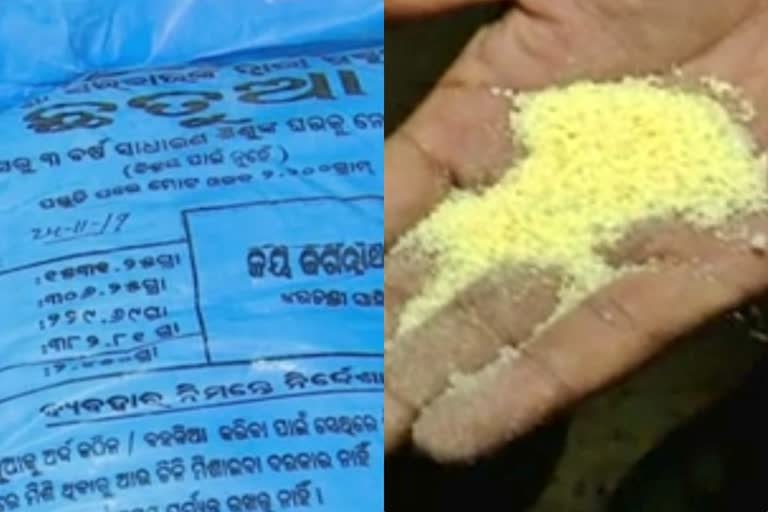 ମାଗଣା ଅଣ୍ଡା ଛତୁଆ ଯୋଜନା, ଛତୁଆରେ ଫିମ୍ପି, ଲଡୁରୁ ବାହାରୁଛି ଦୁର୍ଗନ୍ଧ