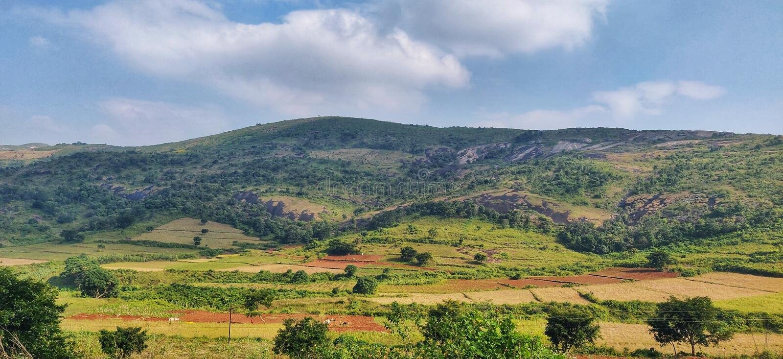 ରାଜ୍ୟର ସର୍ବୋଚ୍ଚ ଶୃଙ୍ଗ ଦେଓମାଳିରେ ଲାଗିଲା କଟକଣା, କିହିଁକି ଜାଣନ୍ତୁ