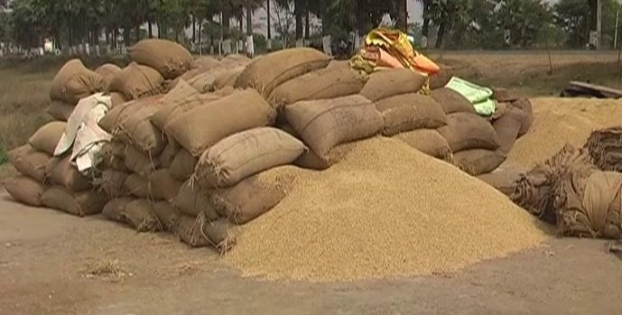 କଳାହାଣ୍ଡିରେ ଖରିଫ ଧାନ କ୍ରୟ ଆରମ୍ଭ ଆଜିଠୁ