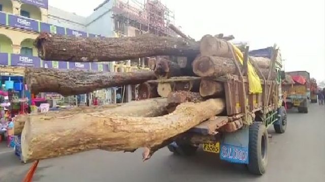 ରଥ ଯାତ୍ରାର ପ୍ରସ୍ତୁତି ପର୍ବ ଆରମ୍ଭ, କାଠ ଚିହ୍ନଟ ଅନୁକୂଳ 
