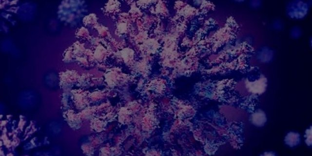 ‘ବ୍ଲାକ୍ ଫଙ୍ଗସ୍‌’କୁ ମହାମାରୀ ଘୋଷଣା କଲେ ରାଜସ୍ଥାନ ସରକାର 