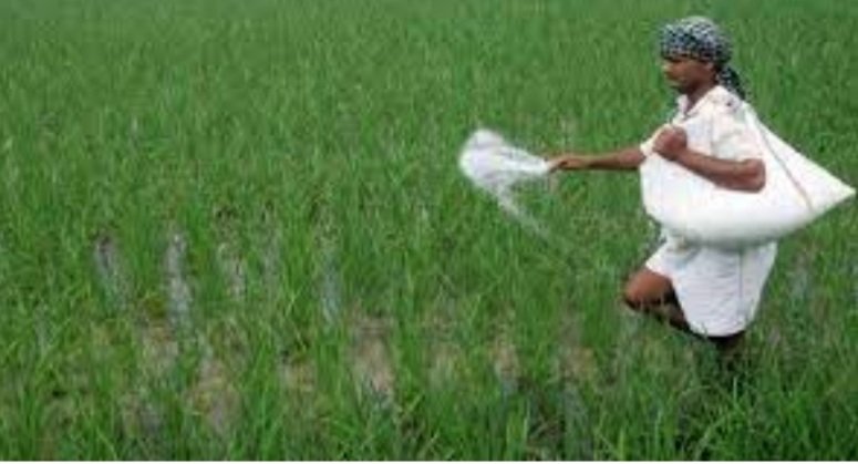 ଚାଷୀ ଭାଇମାନଙ୍କ ପାଇଁ ଭଲ ଖବର, ସାର ବସ୍ତା ପିଛା ୧୨୦୦ ଟଙ୍କା ସବସିଡି