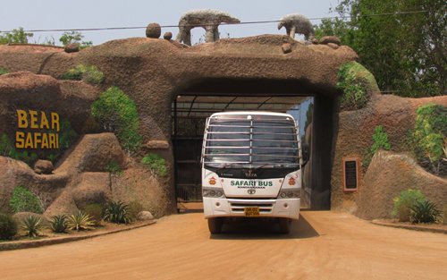 ଭାଲୁ ସଫାରୀ ଖୋଲିଲା, ଏବେ ସବୁ ସଫାରୀ ଦେଖିବେ ପର୍ଯ୍ୟଟକ