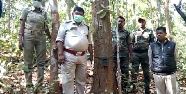 ପାଟଣା ଜଙ୍ଗଲରେ ବାଘ ପାଦ ଚିହ୍ନ ଠାବ, ଲାଗିଲା ସିସି କ୍ୟାମେରା