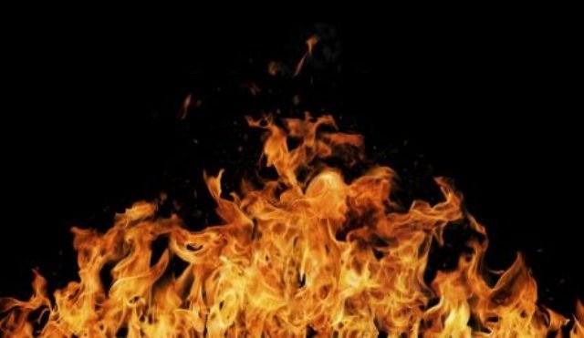 ନିଆଁରୁ ତ୍ରାହି ପାଇଲେନି ଜଳଚର, ଚିଲିକା ମଝିରେ ଜଳୁଛି ନଳଘାସ 